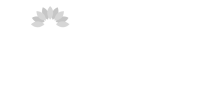 healthmart